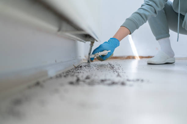 Best Affordable Pest Control Services  in Portland, IN